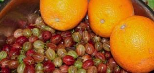 TOP 15 recipes for making gooseberry jam with oranges for the winter