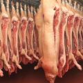 Bảng tính sản lượng thịt lợn hơi xuất chuồng, cách đo và tính theo công thức