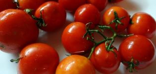 Charakteristika a opis odrody paradajok Ďaleký sever, jej výnos