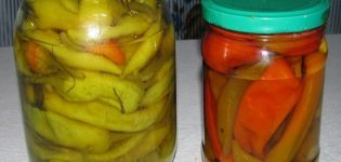 TOP 10 opskrifter til madlavning af krydret peber til vinteren, med og uden sterilisering