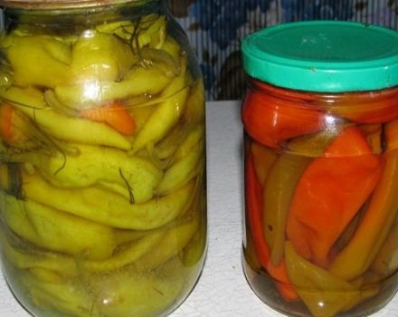 TOP 10 recipes for cooking spicy pepper for the winter, with and without sterilization
