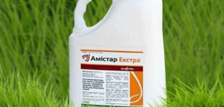 Fungicīda Amistar Extra lietošanas instrukcijas un šķīduma pagatavošanas metode