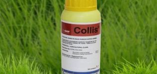 Upute za uporabu fungicida Collis, mehanizam djelovanja i brzine potrošnje