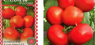 Opis sorte rajčice Škrletna jedra i njihove karakteristike