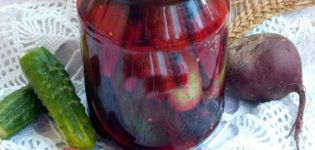 En trinvis opskrift på syltede agurker med rødbeder til vinteren