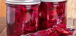 9 mejores recetas para cosechar remolacha para borscht para el invierno en casa