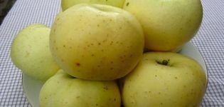 Beschreibung der Apfelsorte und des Ertrags des gelben Zuckers, der Brutgeschichte und der Anbaugebiete