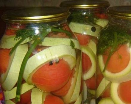 TOPP 5 bästa recept för konservering av zucchini med tomater för vintern