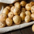 I benefici e i rischi delle patate giovani, come germogliare e quando piantare