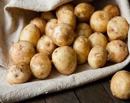 Fordelene og skadene ved unge kartofler, hvordan man spirer og hvornår de skal plantes