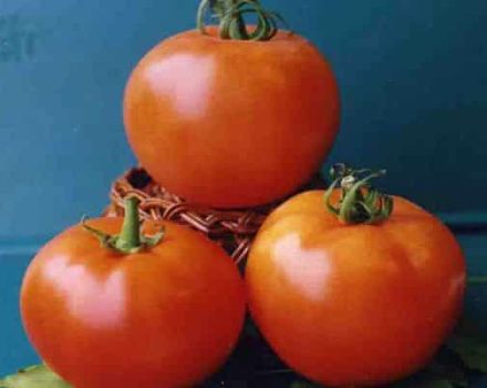 Caractéristiques des variétés de tomates en croissance Vologda F1 et sa description