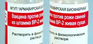 Instructies voor gebruik van het vaccin tegen erysipelas bij varkens, bijwerkingen en contra-indicaties