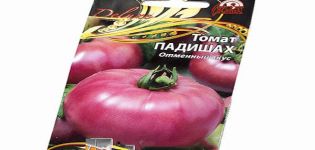 Opis sorte rajčice Padishah i njezine karakteristike