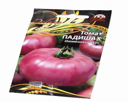Kuvaus tomaatti Padishah-lajikkeesta ja sen ominaisuuksista