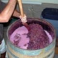 8 paprasti receptai vynui gaminti iš vynuogių namuose