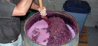 8 vienkāršas receptes vīna pagatavošanai no vīnogām mājās