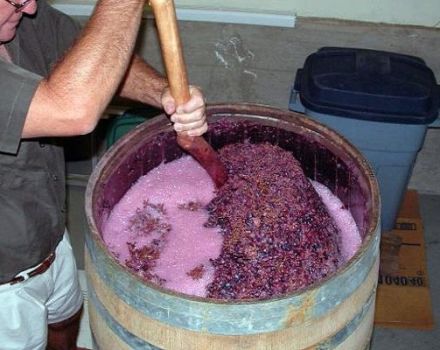8 vienkāršas receptes vīna pagatavošanai no vīnogām mājās