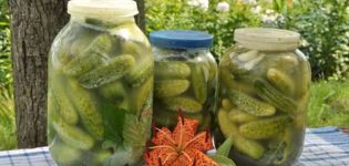 9 geriausi agurkų konservavimo šaltu vandeniu receptai
