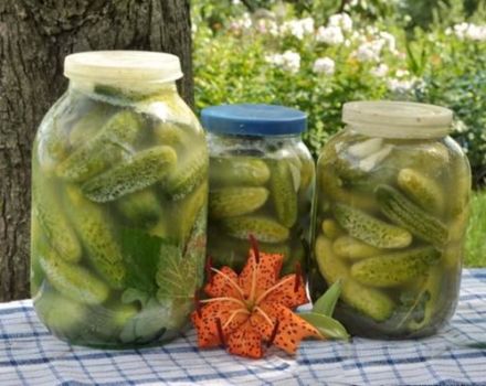 9 beste recepten voor het inblikken van komkommers met koud water