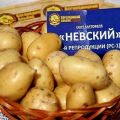 Mô tả về giống khoai tây Nevsky, đặc điểm và năng suất của nó