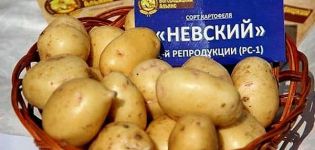 Popis odrůdy brambor Nevsky, její vlastnosti a výnos