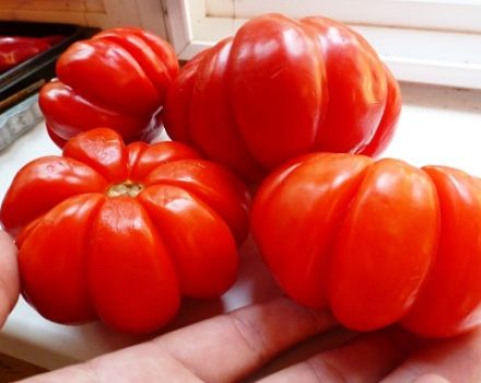 Description and characteristics of the tomato variety Lorraine beauty