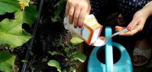 Pravidlá používania sódy proti burinám v záhrade a bezpečnostné opatrenia
