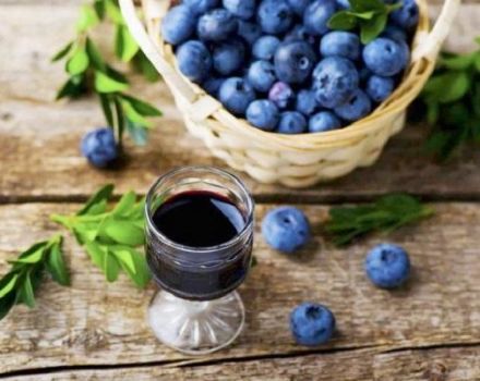 15 pinakamahusay na blueberry na recipe para sa taglamig