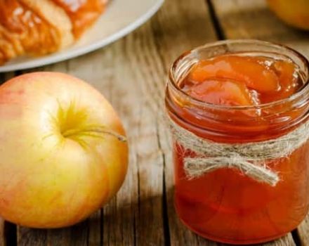 TOP 3 recepten voor het maken van zoete appeljam voor de winter