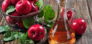 TOP 5 iespējas aizstāt konservētu ābolu sidra etiķi