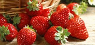 TOPP 13 intressanta recept för att förbereda jordgubbar för vintern