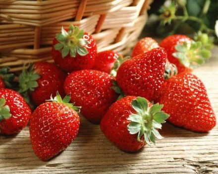TOP 13 interessante Rezepte für die Zubereitung von Erdbeeren für den Winter
