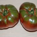 Descripción de las variedades de tomates Brandywine negro, amarillo, rosa y rojo.