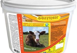 Top 5 manufacturers of feed additives for cattle and instructions for use