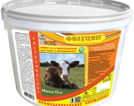 Top 5 výrobcov kŕmnych doplnkových látok pre hovädzí dobytok a návod na použitie