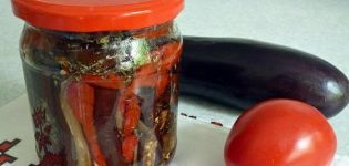 TOP 6 recepten voor het maken van ingelegde aubergines met peper voor de winter