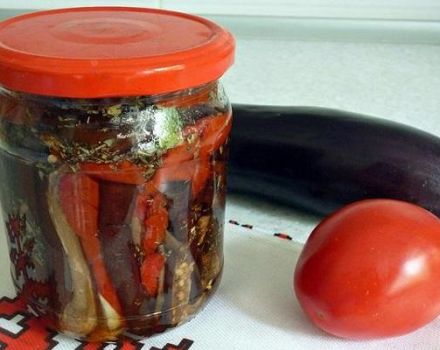 TOP 6 opskrifter til fremstilling af syltede aubergine med peber til vinteren