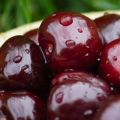 Reasons why cherries do not bear fruit and what to do for treatment