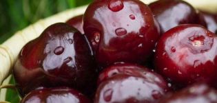 Ragioni per cui le ciliegie non danno frutti e cosa fare per il trattamento