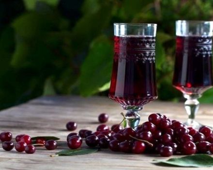 TOP 9 simple recipes for homemade cherry wine