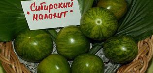 Description of the tomato variety Siberian malachite and its characteristics