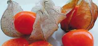 Useful properties and harm of strawberry physalis, types and methods of application