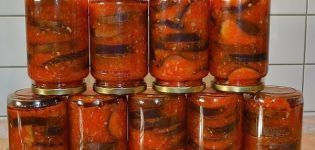 TOP 10 beste auberginerecepten in tomaat voor de winter, met en zonder sterilisatie
