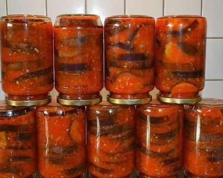 Sterilizasyonlu ve sterilizasyonsuz, kış için domatesde en iyi 10 patlıcan tarifi