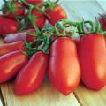 Charakterystyka i opis odmiany pomidora Polizasz palce, jego plon