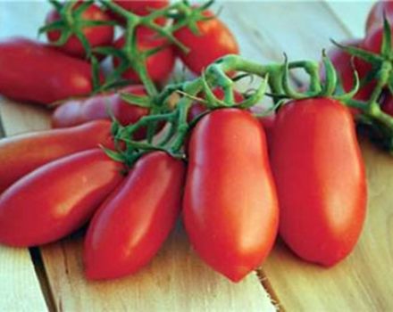 Egenskaber og beskrivelse af tomatsorten Du vil slikke dine fingre, dens udbytte