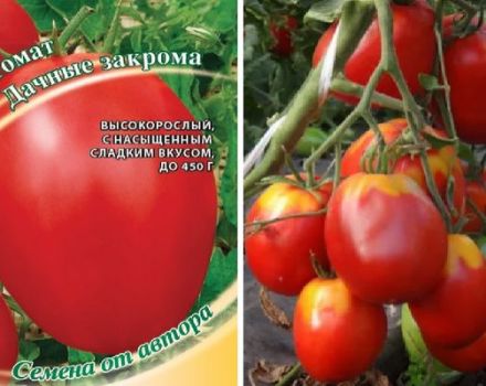 Περιγραφή της ποικιλίας ντομάτας Κάδοι και τα χαρακτηριστικά της