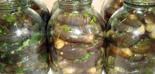 Rezepte zum Kochen marinierter Auberginen im aserbaidschanischen Stil für den Winter