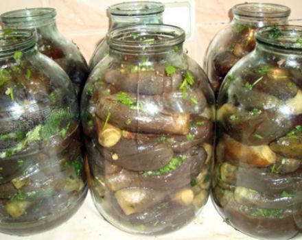 Opskrifter til fremstilling af marinerede auberginer i Aserbajdsjan til vinteren