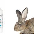 Composition and instructions for use of Baytril for rabbits, dosage